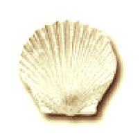 topshell
