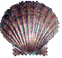 512
